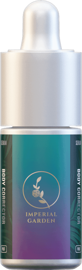 Body Corrector