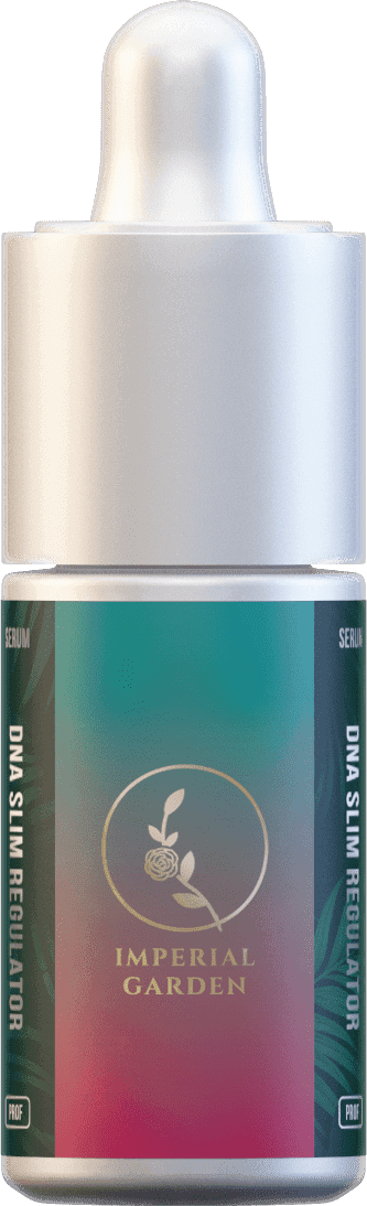 Dna Slim Regulator
